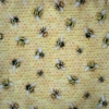 Kép 2/2 - Bees méhes textilzsebkendő - méhecskés