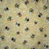 Kép 2/2 - Bees méhes textilzsebkendő - méhecskés