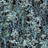 Kép 1/2 - Erdő a Holdfényben - ezüstös design mintás zsebkendő